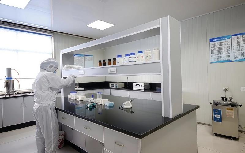 Por Que Nos Escolher